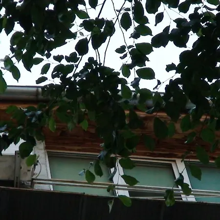 French Embassy Studio, Amzei Historic Center Διαμέρισμα