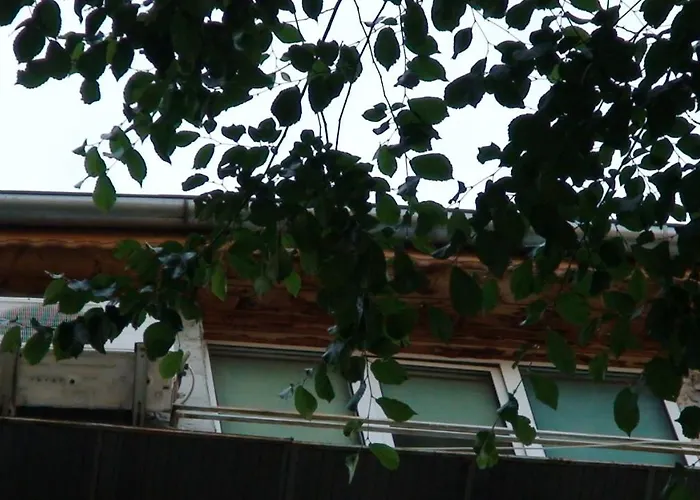 French Embassy Studio, Amzei Historic Center Apartment